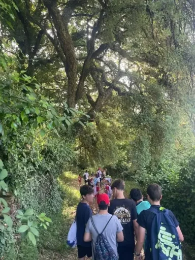 excursion
